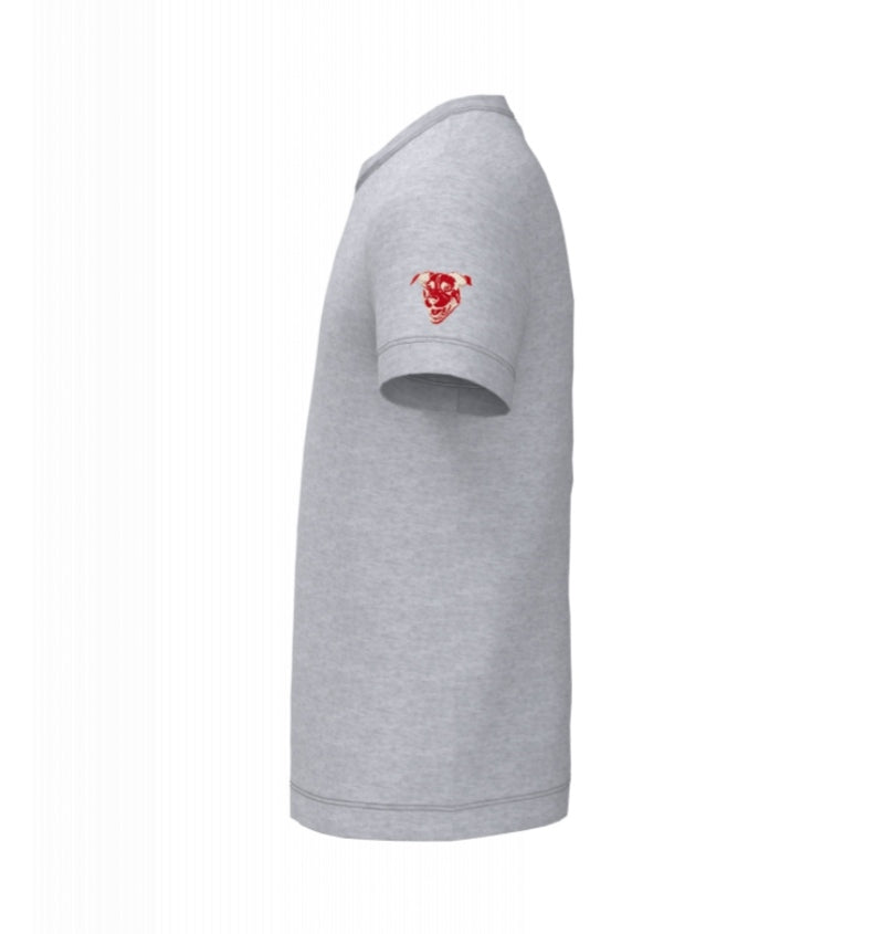 T-shirt GREY Curtis enfant