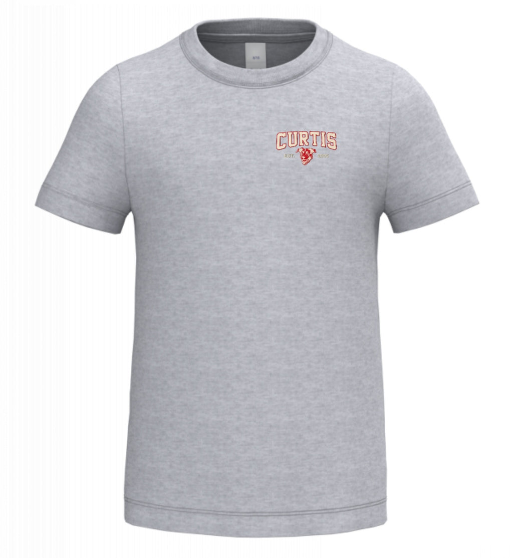 T-shirt GREY Curtis enfant